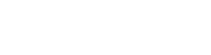 110denir