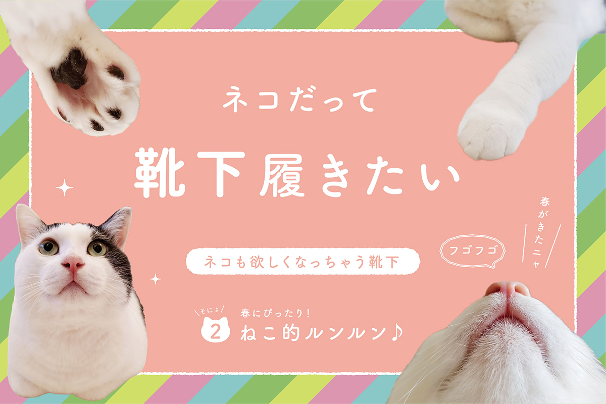 MUST-BUY-05